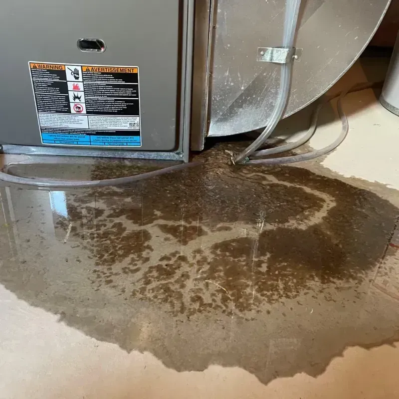 Appliance Leak Cleanup in Hilmar-Irwin, CA